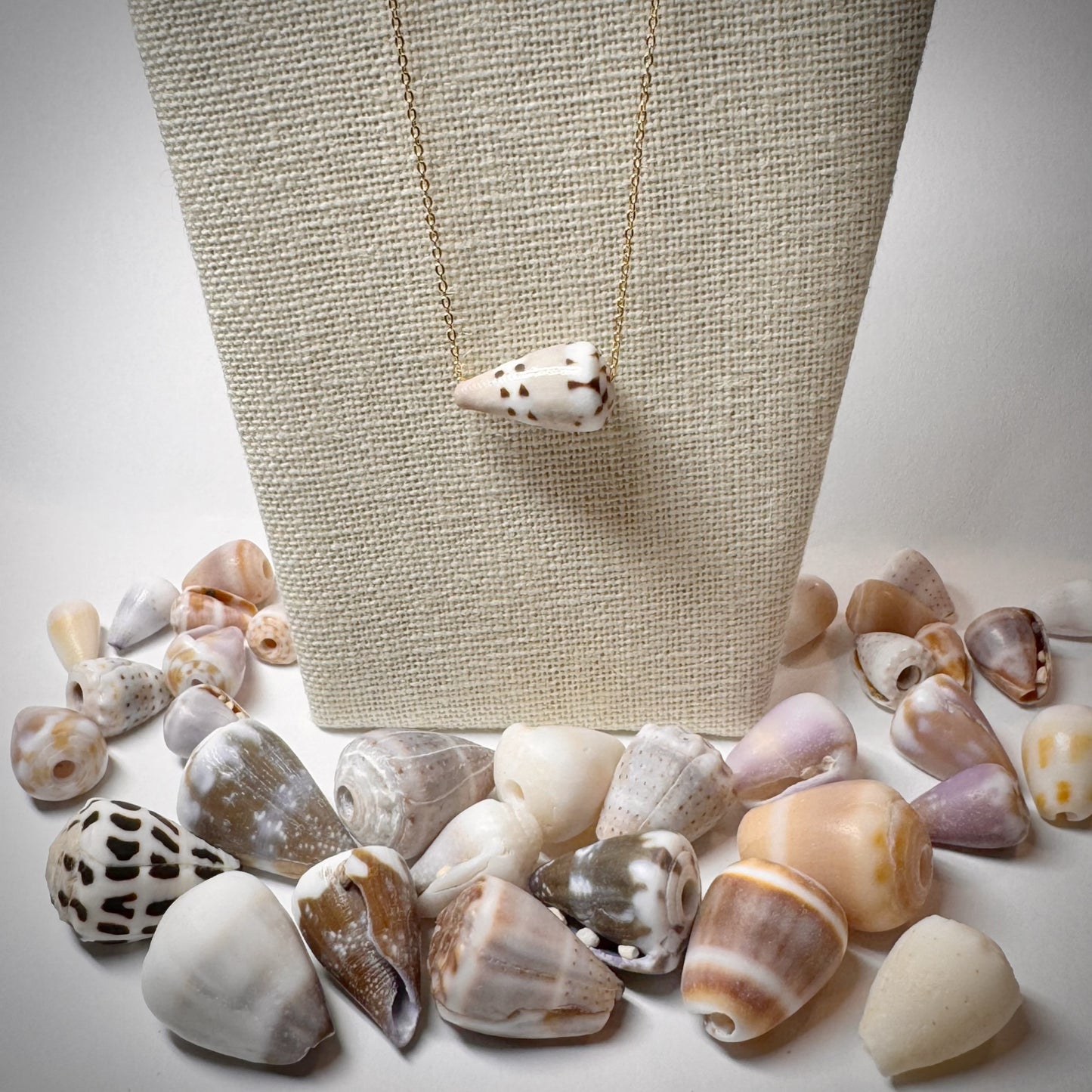 Tan and white with spotted trail Cone seashell floating necklace