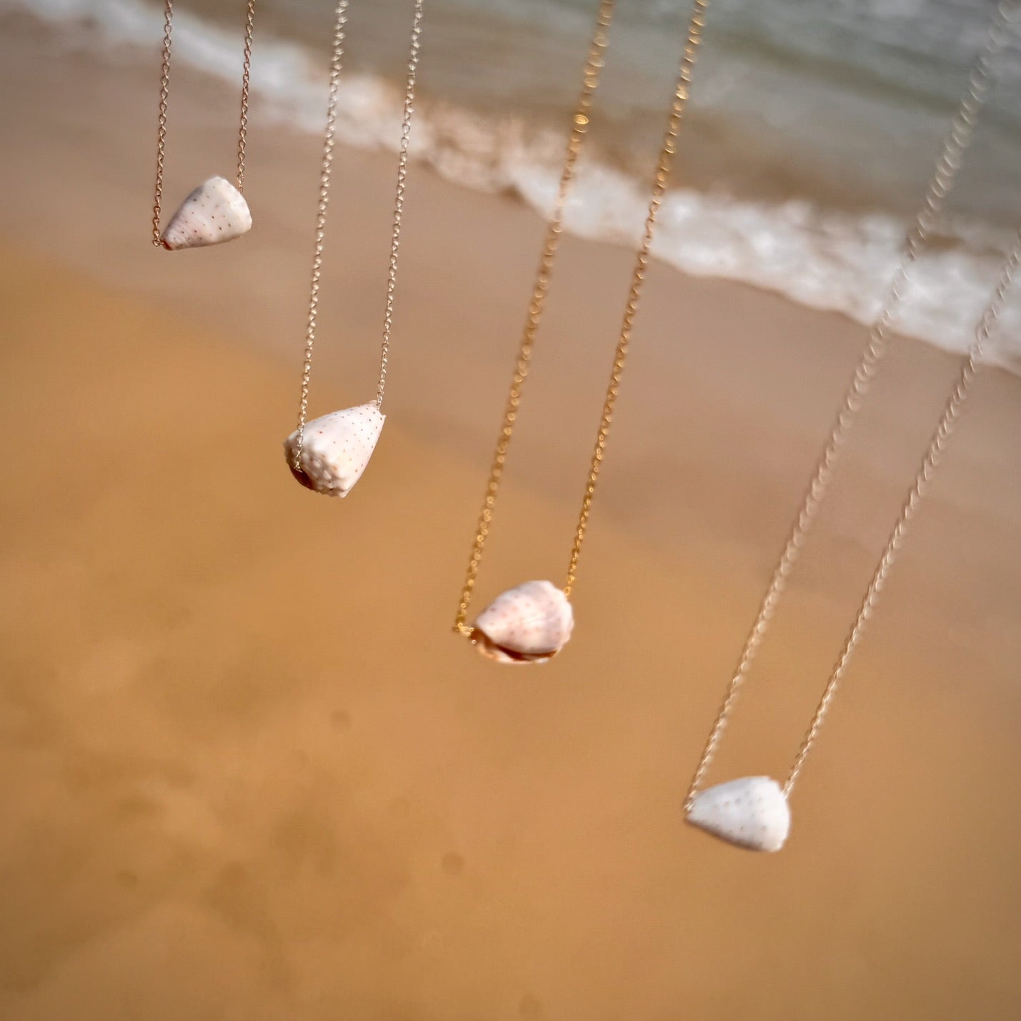 Brown with white calf Cone seashell floating necklace
