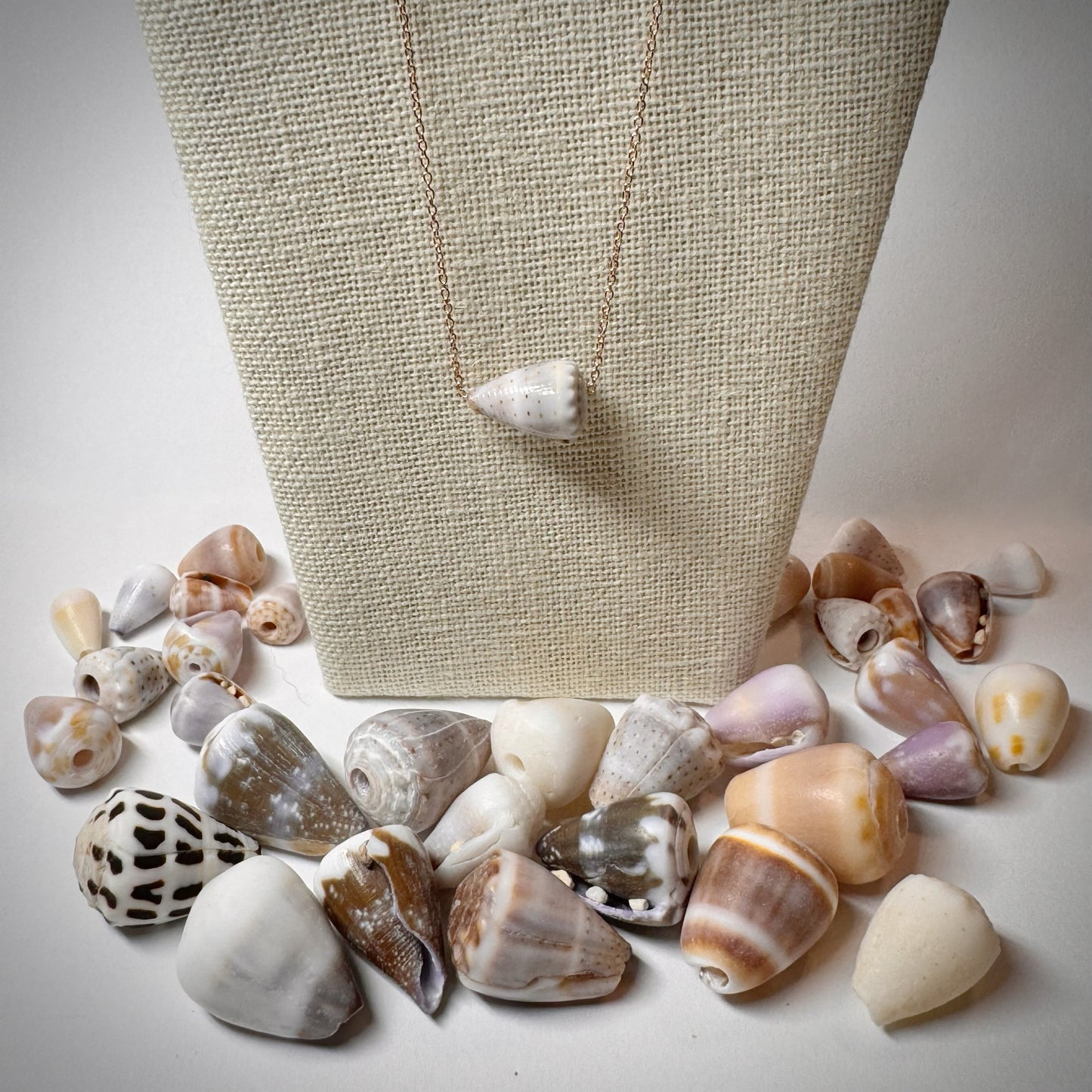 Pastel abbreviated Cone seashell floating necklace