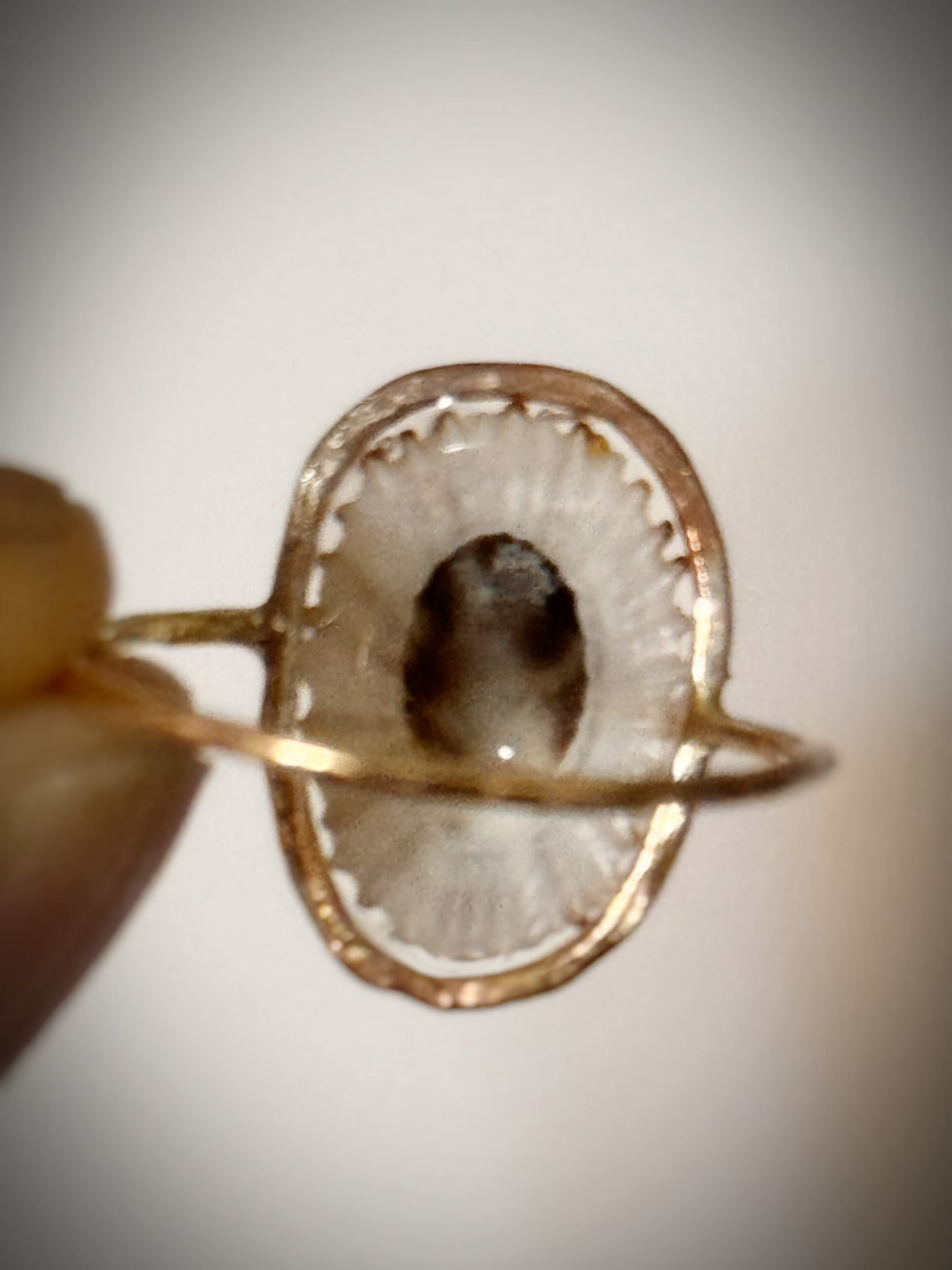 ‘Opihi shell ring
