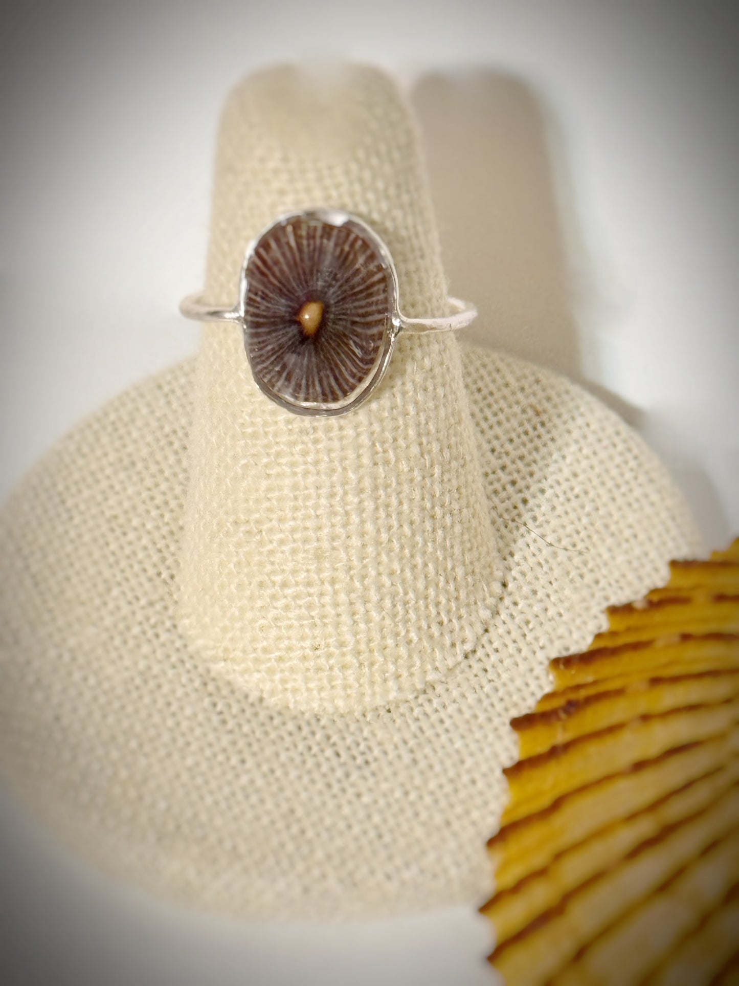 ‘Opihi shell ring