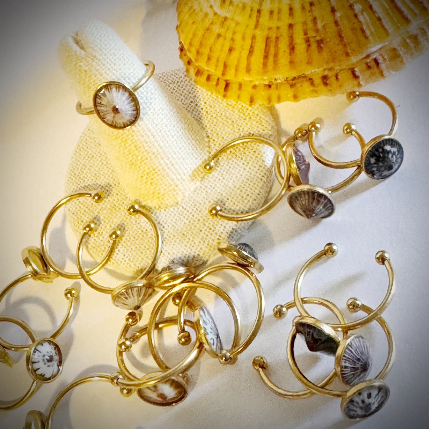 ‘Opihi gold cuff shell ring