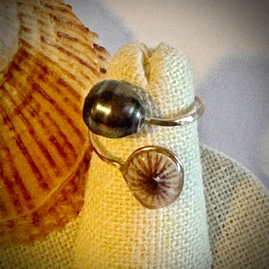 ‘Opihi with Tahitian pearl gold cuff adjustable shell ring