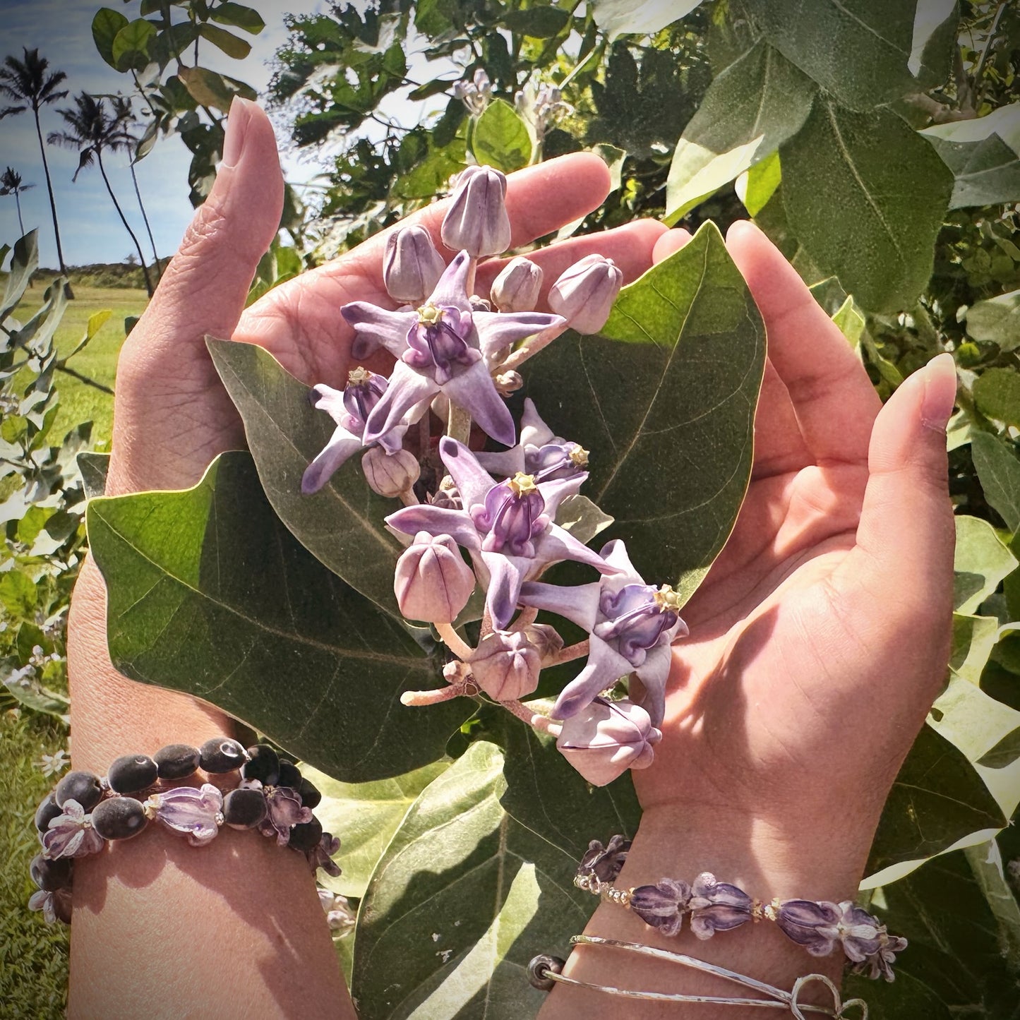 Maui mink seed & single Pua Kalaunu (crown flower) stretch bracelet