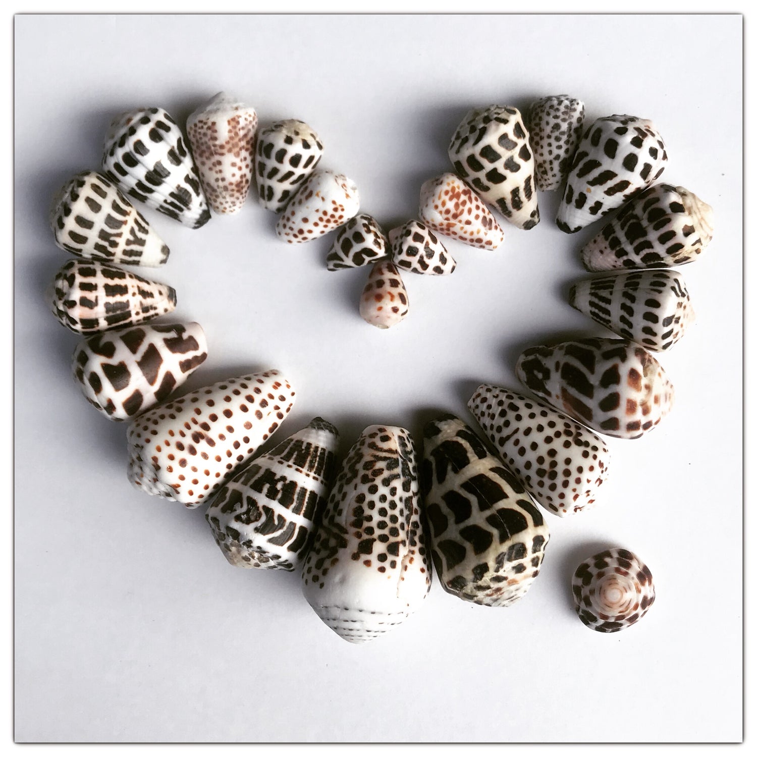 Mermaid treasures