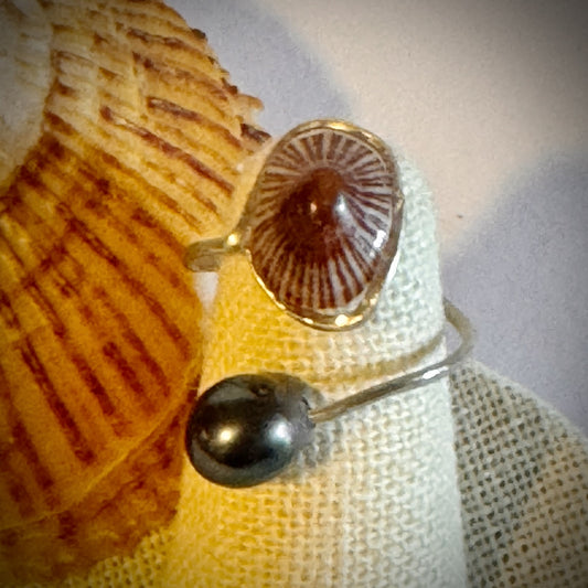 ‘Opihi with Tahitian pearl silver cuff adjustable shell ring