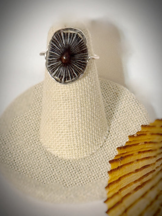 ‘Opihi shell ring