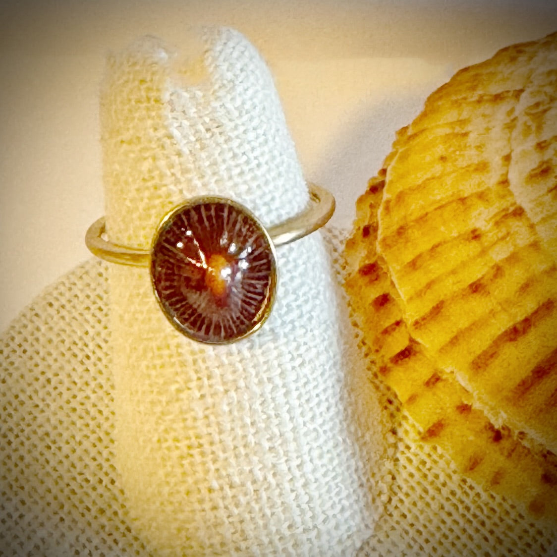 ‘Opihi gold cuff shell ring
