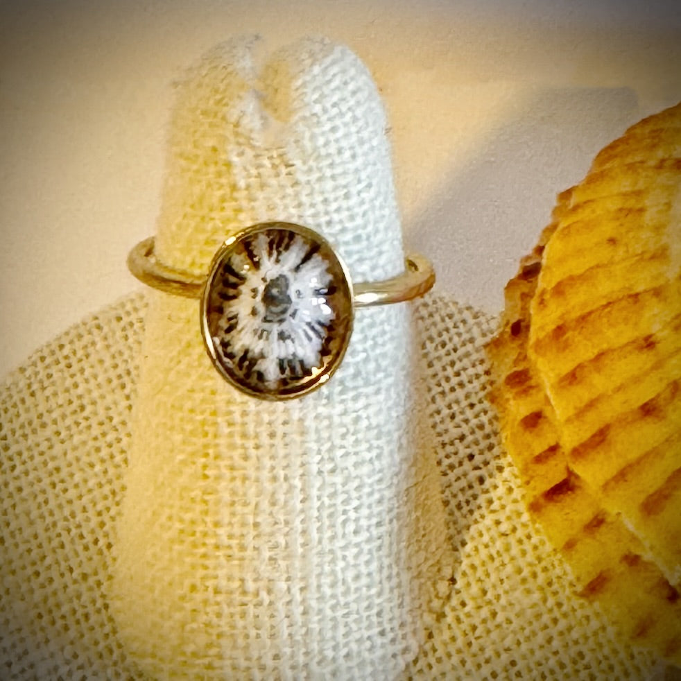 ‘Opihi gold cuff shell ring