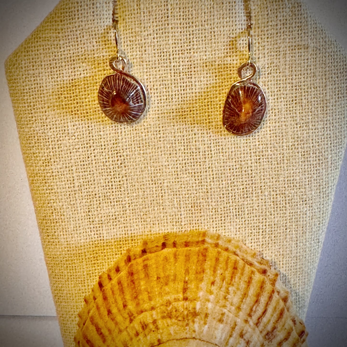 ‘Opihi shell gold earrings