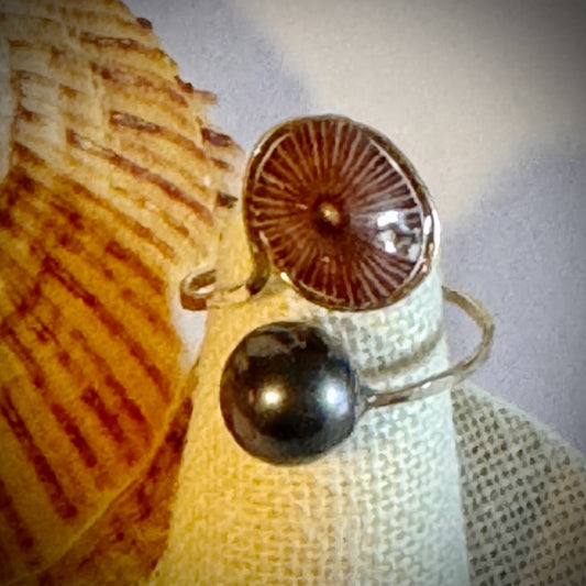 ‘Opihi with Tahitian pearl gold cuff adjustable shell ring