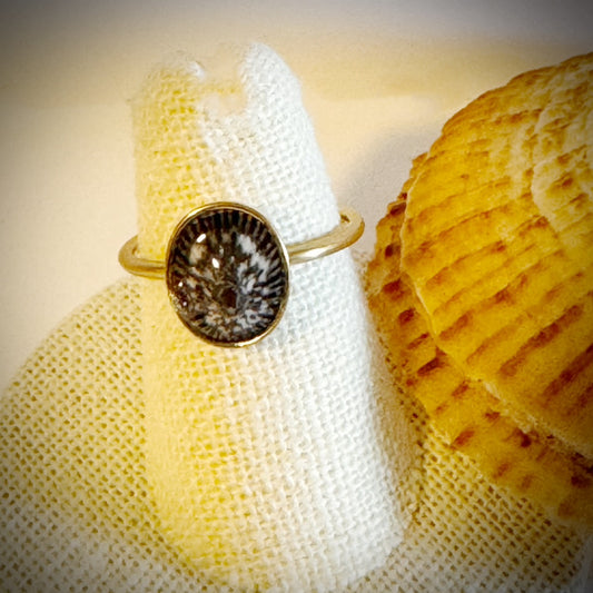 ‘Opihi gold cuff shell ring