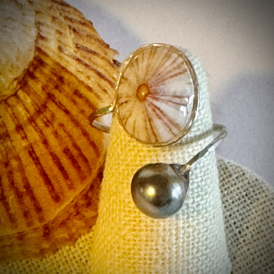 ‘Opihi with Tahitian pearl silver cuff adjustable shell ring