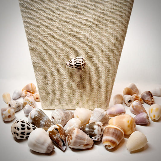 Blackish brown with white Cone seashell floating necklace