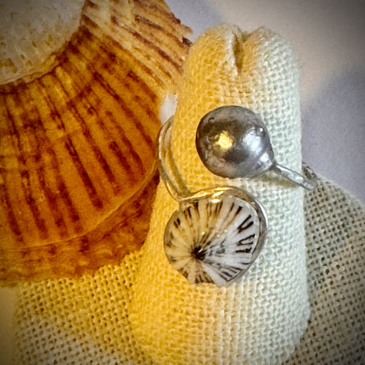 ‘Opihi with Tahitian pearl silver cuff adjustable shell ring