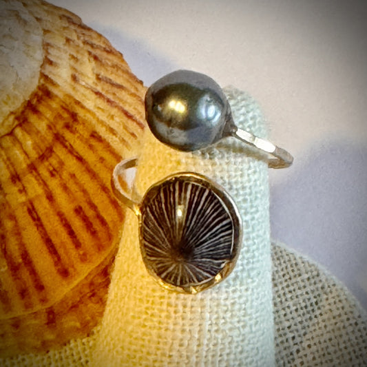 ‘Opihi with Tahitian pearl gold cuff adjustable shell ring