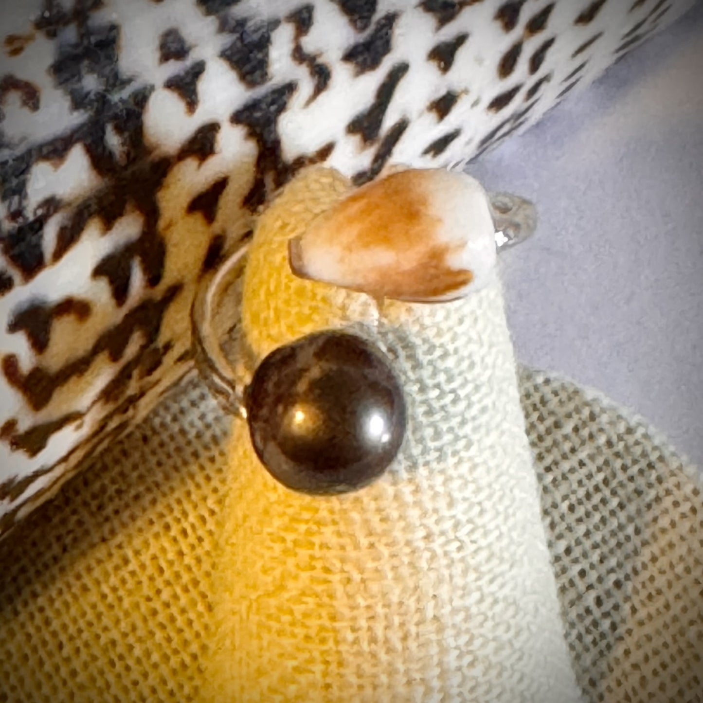 Cone shell with Tahitian pearl silver cuff adjustable shell ring