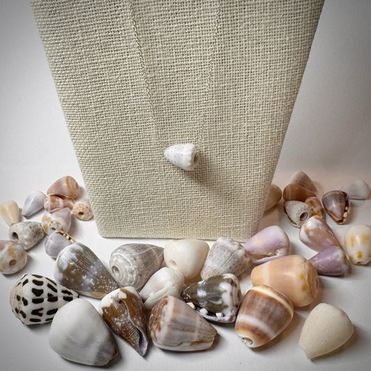 Pastel abbreviated Cone seashell floating necklace