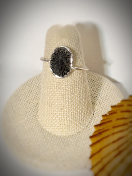 ‘Opihi shell ring