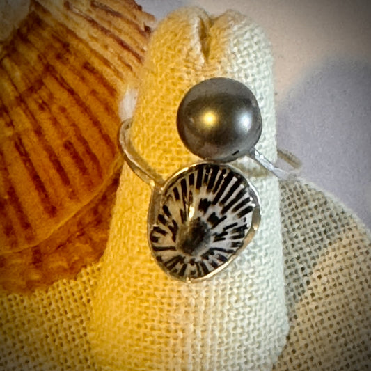 ‘Opihi with Tahitian pearl silver cuff adjustable shell ring