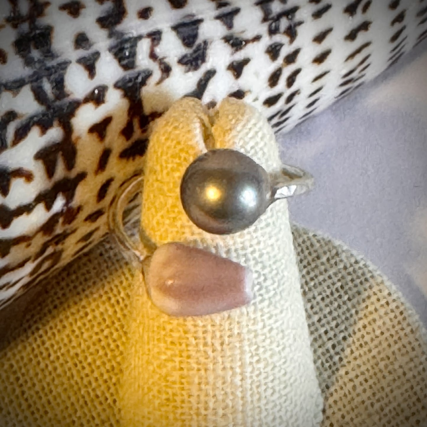 Cone shell with Tahitian pearl silver cuff adjustable shell ring