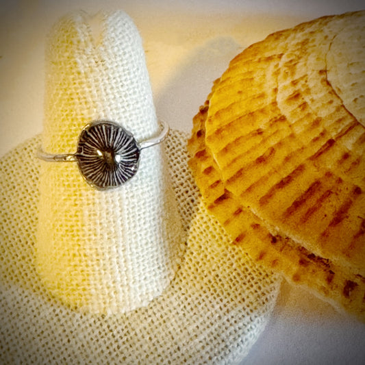 ‘Opihi shell ring