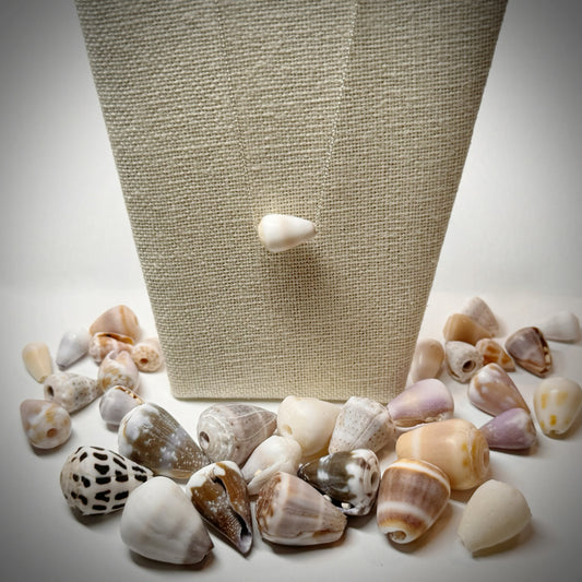 Gray and white Cone seashell floating necklace