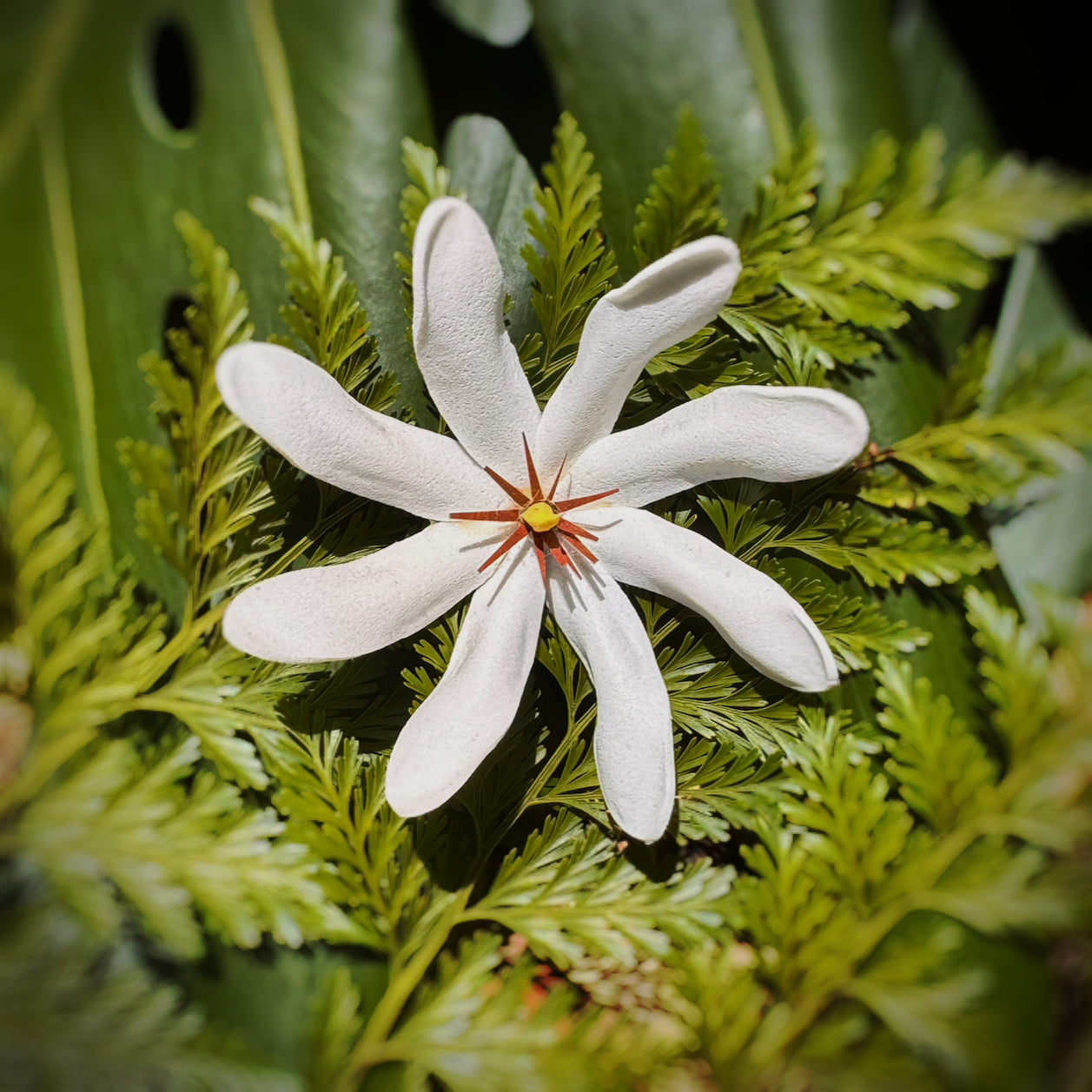 Tiare hair pua pick-large